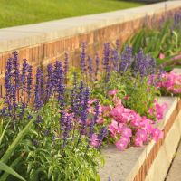 visitfrenchlickwestbaden instagram 3850 ig