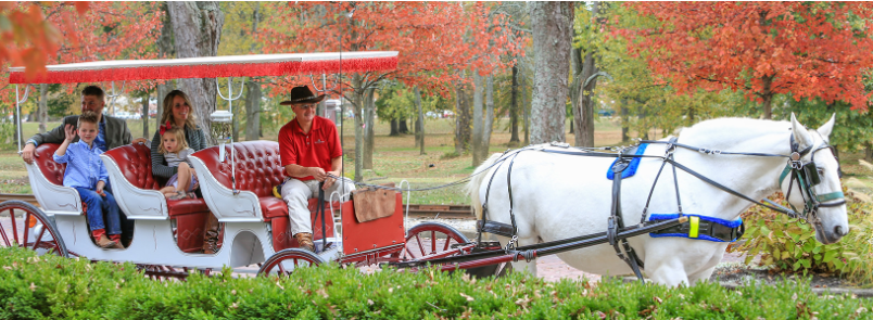 Carriage Rides at West Baden Hotel