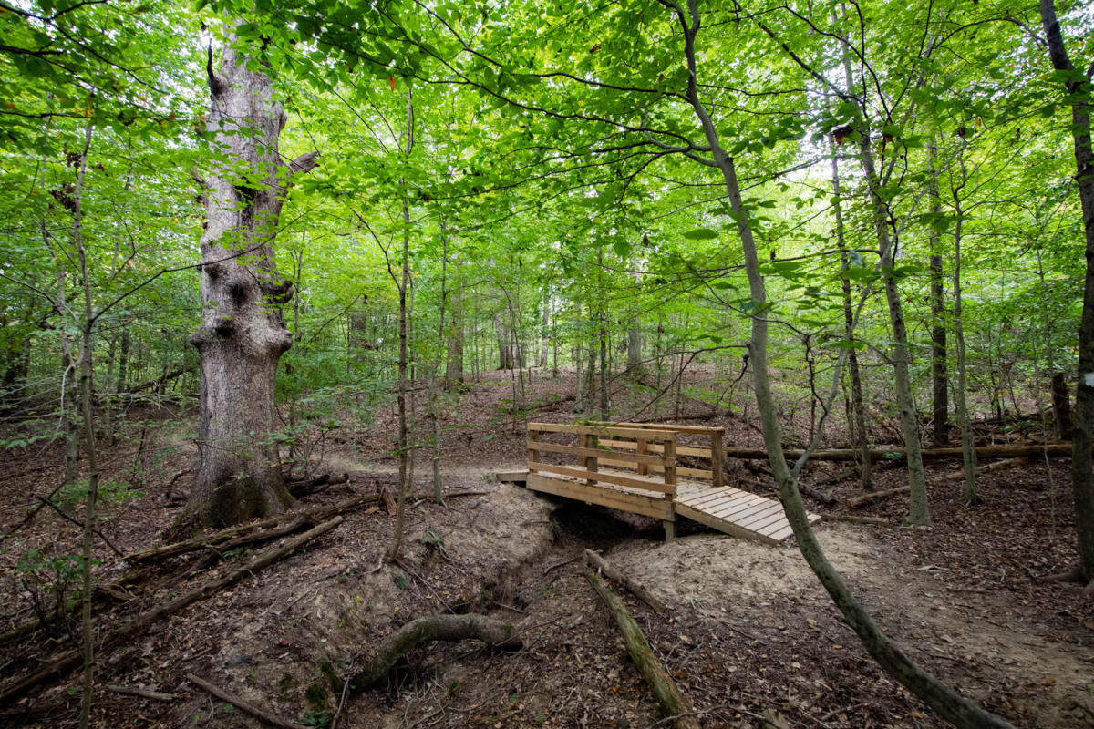 Buffalo Trace Trails