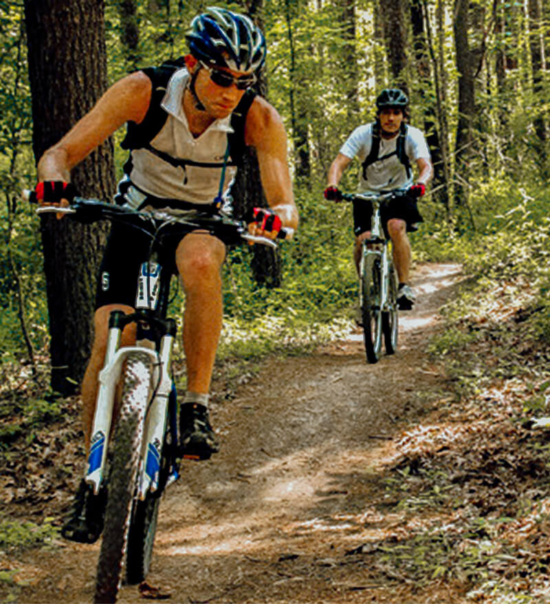 Mountain bikers on the trail