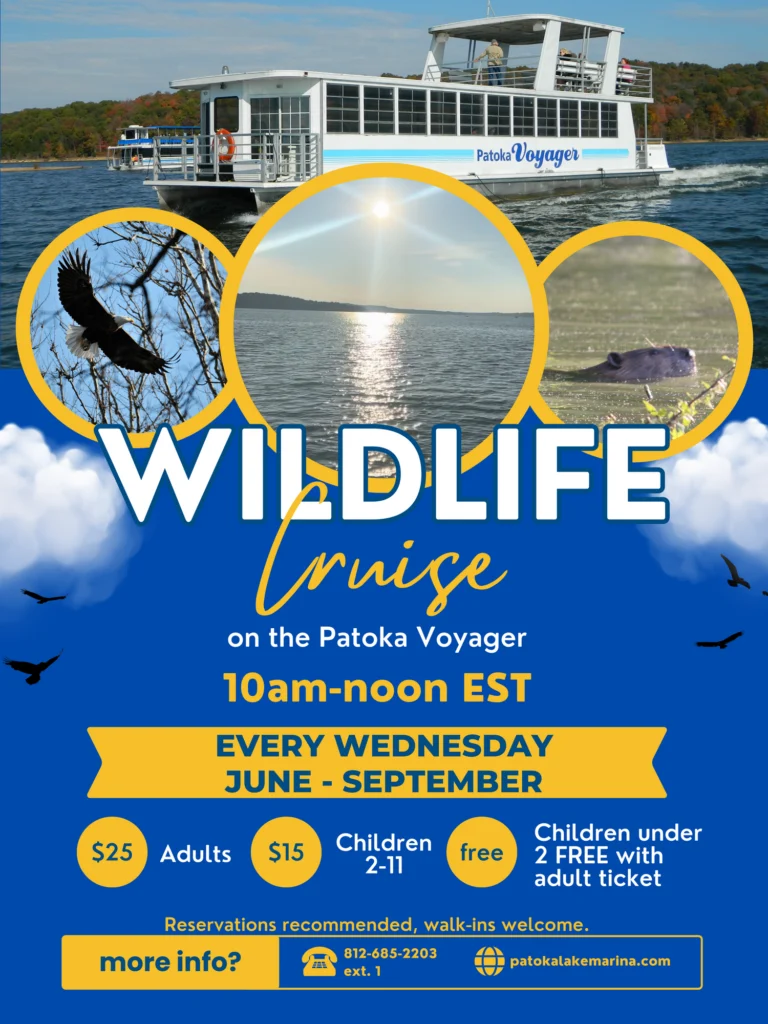 Wildlife Cruise on Patoka Lake
